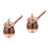 2Pcs Multi-Function Rose Gold Small Stainless Steel Milk Pot with Lid 6