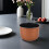 Rice Cooker Inner Pot: 1.6 L Non-Stick Replacement Insert For Kitchen 5
