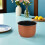 Rice Cooker Inner Pot: 1.6 L Non-Stick Replacement Insert For Kitchen 6