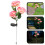 3Pcs Pink Hydrangea Solar Stake Lamp Solar Powered Garden Decor Lights 7