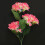 3Pcs Pink Hydrangea Solar Stake Lamp Solar Powered Garden Decor Lights 8