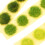 6 Pcs Mini Plant Cluster Strips Vegetation Groups Static Scenery Props 10