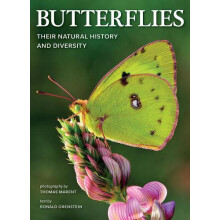Butterflies Their Natural History and Diversity by Ronald Orenstein Pa