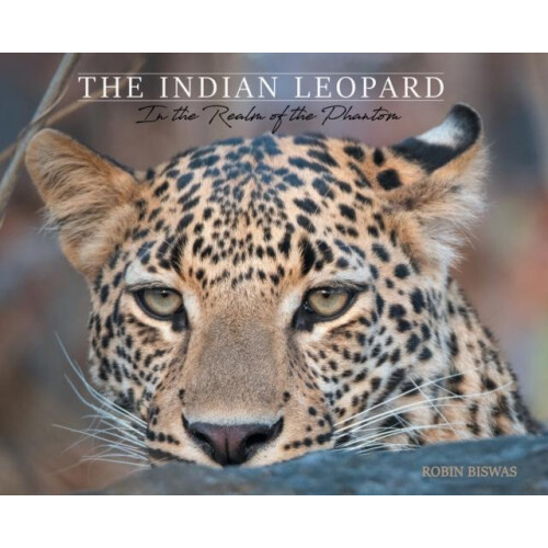 The Indian Leopard by Robin Biswas Hardcover Book