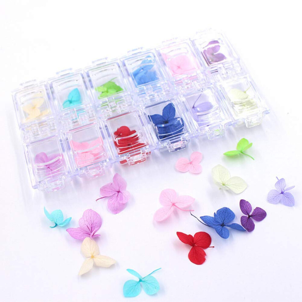 Dried Flower Nail Stickers Real Dried Hydrangea 12 Colors 3D Nail Art Decals for DIY Manicure