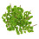 40Pcs Light Green Miniature Trees for Model Train Scenery DIY Crafts 1