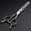 6 Inch Professional Hair Cutting Scissors Set with Precise Sharp Blades and Ergonomic Handle 3