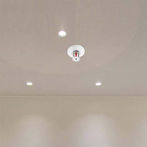 12set Plastic Water Plate Disc Style For Fire Sprinkler Heads 2