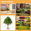 3Pcs Miniature Model Trees Plastic Green for Craft and Train Scenery 7