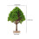 3Pcs Miniature Model Trees Plastic Green for Craft and Train Scenery 2