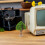 3Pcs Miniature Model Trees Plastic Green for Craft and Train Scenery 3