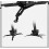 Adjustable Telescopic TV Wall Mount and Projector Bracket for 2670 Inch Screens SpaceSaving 2
