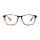 Taylor Morris Optical Frame SW16 C2 52 1