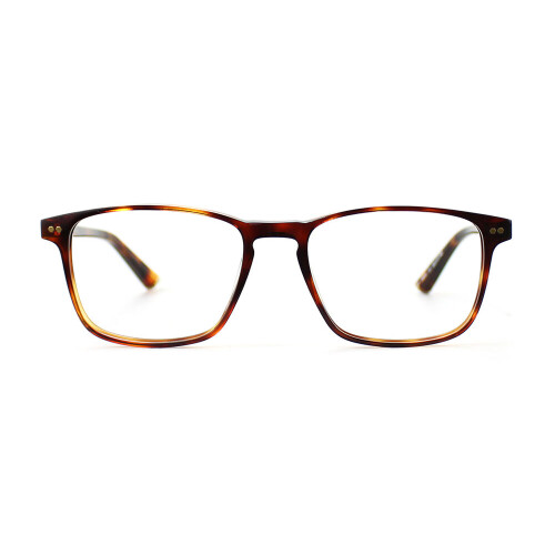 Taylor Morris Optical Frame SW16 C2 52