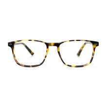 Taylor Morris Optical Frame SW16 C3 52