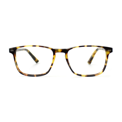 Taylor Morris Optical Frame SW16 C3 52