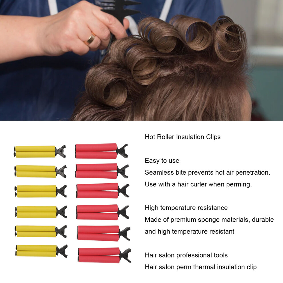 12 stÃ¼cke Salon HeiÃer Roller Isolierung Clips