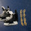 2Sets Durable Golden Ice Skate Replacement for Roller Skates 6