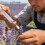 3Pcs Efficient Garden Pollinator Pen White Plastic Cotton Manual Use 4
