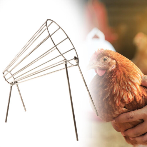 Metal Chicken Kill Cone Humane Poultry Restraining Cone M Size Durable Easy Clean for Processing 1