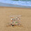 Acrylic Magnetic Lock Seashell Display Box with 36Grid Heart Layout, Stackable Clear Organizer 3