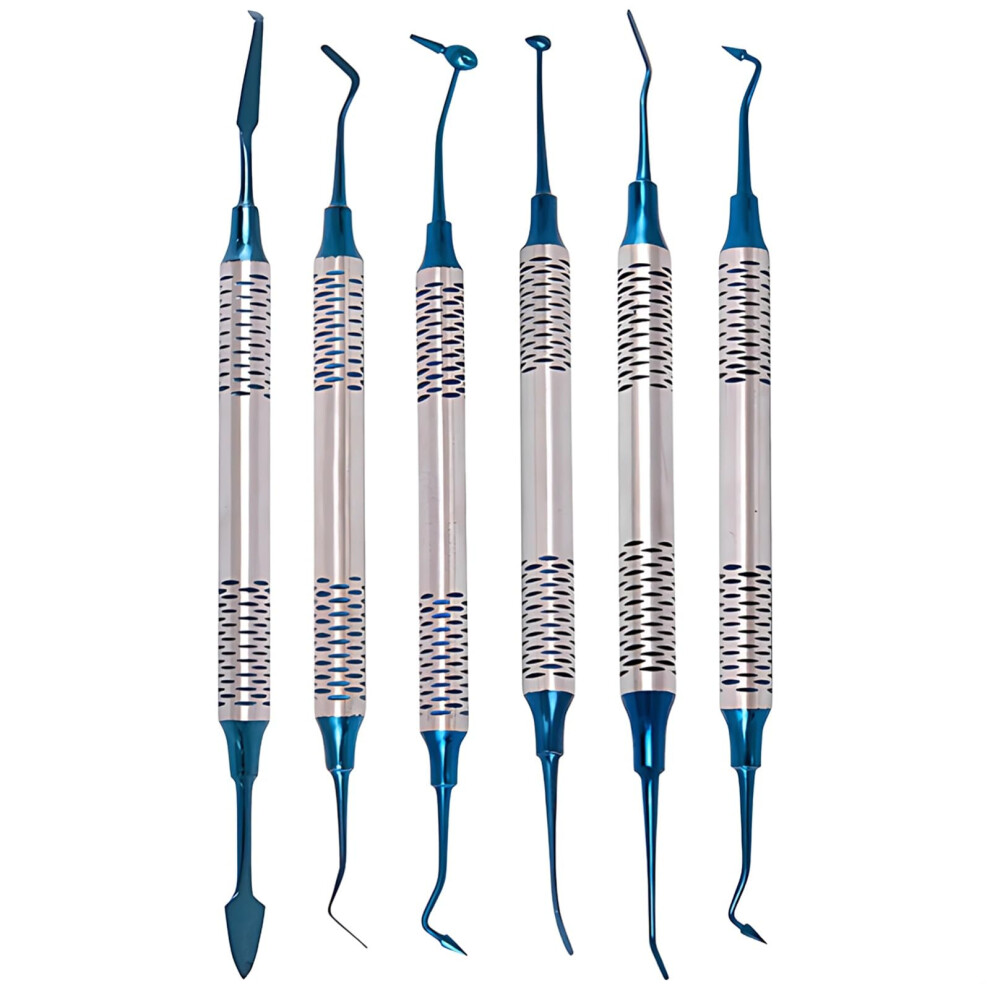 Blue Dental Composite Instruments 6Piece Filling Kit With Grip Stainless Steel And Nonstick Tips