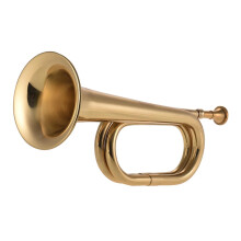Beginner Brass Trumpet with Bright Clear Tone, Durable Build for School Band and Marching Band