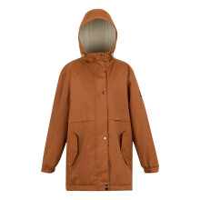 (10 UK, Glazed Ginger) Regatta Womens/Ladies Brielly Insulated Waterproof Jacket