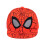 Spider-Man Boys Superhero Snapback Cap 4