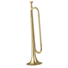 Beginner Trumpet C Key Brass with GoldPlated Finish for Students and School Orchestra