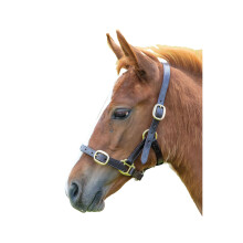(Baby 0, Havana) Blenheim Leather Adjustable Horse Headcollar