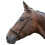 (Cob, Brown) Hy Padded Drop Nose Band 2