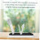 Baby Bottle Drying Rack with Multiple Slots for Efficient Drainage and Organized Countertop Storage 3