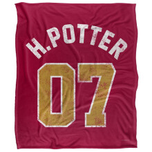 Harry Potter Silky Varsity Supersoft Blanket