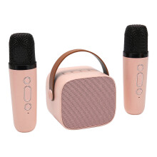 Multifunktionale tragbare Bluetooth-Karaoke-Maschine Pink mit 2 kabellosen Mikrofonen