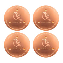 2PCS Bronze Metal Bird Bath Cleaner Discs for Outdoor Algae Prevention and Chemical Maintenance