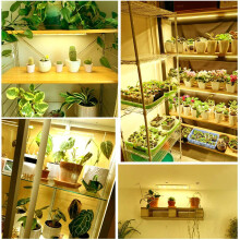 Full Spectrum Indoor LED Plant Light with Timer Greenhouse LED Bar 1.0m