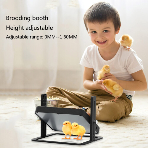 Chick Brooder Heating Plate 10.8 x 10.8 Inch Adjustable Height Safe Warmer for Chicks Ducklings 1