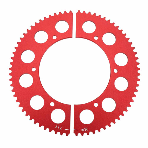 Pignone diviso in alluminio argentato Modello 35 71T 2