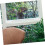 Sliding Window Locks Tilt Latch Sash Handles for Enhanced Home Security and Smooth Operation 4