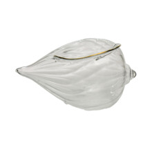 Glass Dessert Bowl Set Conch Shaped Clear Glass Ice Cream Cups for MultiPurpose Serving and Parties