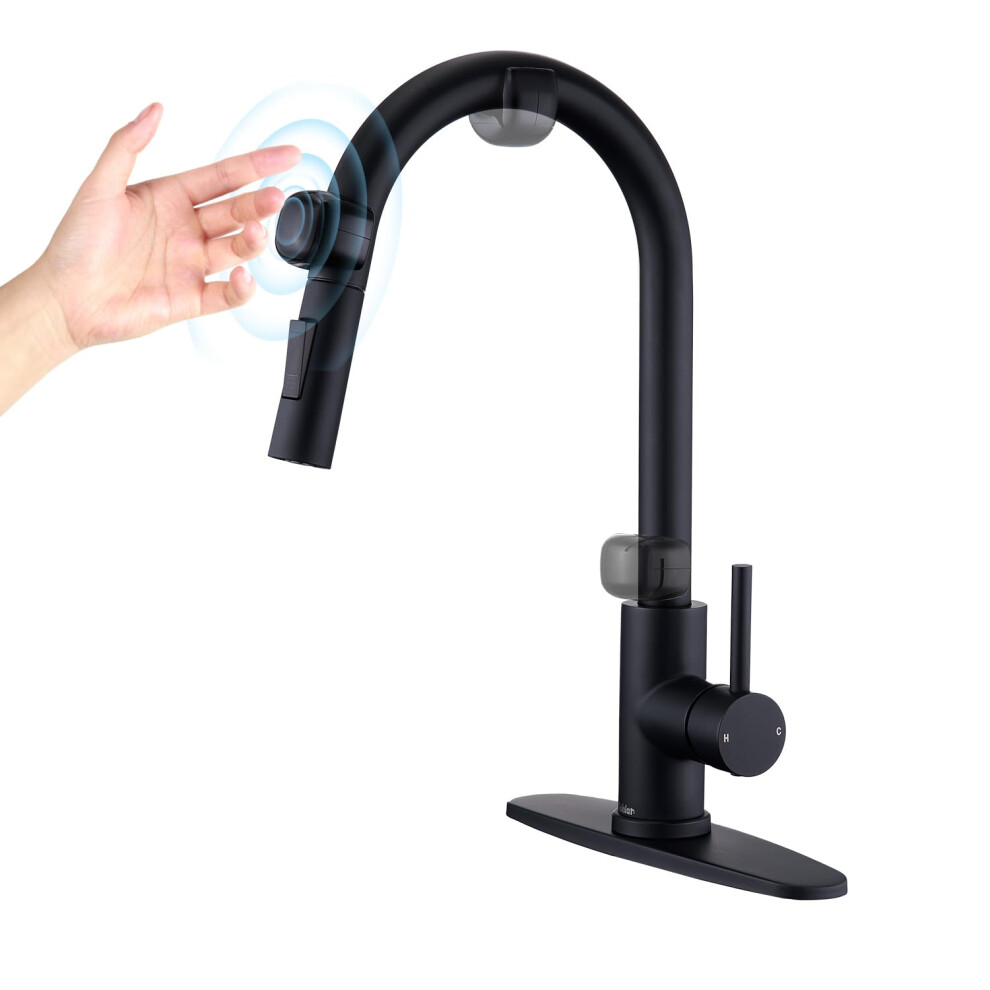 Touchless Kitchen Faucet With Motion Sensor, Pull Down Sprayer, Matte Black Stainless Steel 9113335910041