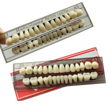 56pcs Dental Resin Teeth Full Arch Denture Model Set for Halloween Costume Prop, 23 A3