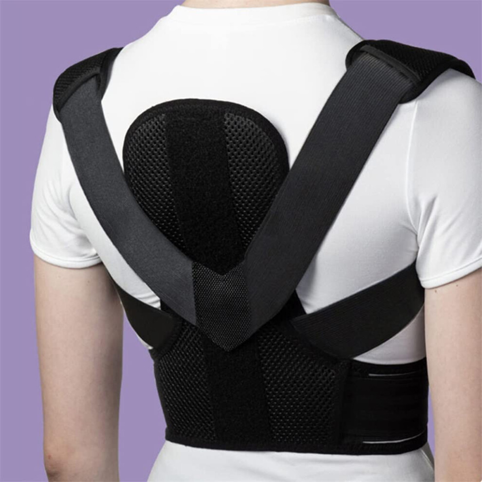 Adjustable Posture Corrector with Alloy Plates for Spinal Alignment and Unisex Back Support Belt