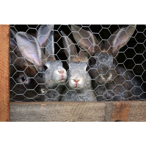 180 m Hexagonal mesh Chicken fence Rabbit wire Rabbit lattice Hare wire 100 cm 2