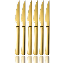 Gold Stainless Steel Steak Knives Set, UltraSharp Serrated Blades, 6 Piece Dishwasher Safe