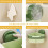 Hands Sink Strainer Basket with Suction Cup Kitchen Organizer, Green Mesh, SpaceSaving Design 5