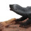 Dinosaur Landscape Model Toy Plastic Figure Set with Platform 9