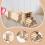 DIY Wooden Train Model Kit for Kids, HandsOn STEM Learning Craft, Durable Cargo Train Set 4