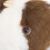 Plush Animal Head Cover Soft Washable Thick Padding Shockproof 7